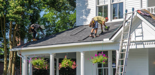 Best Storm Damage Roof Repair  in St James, MN